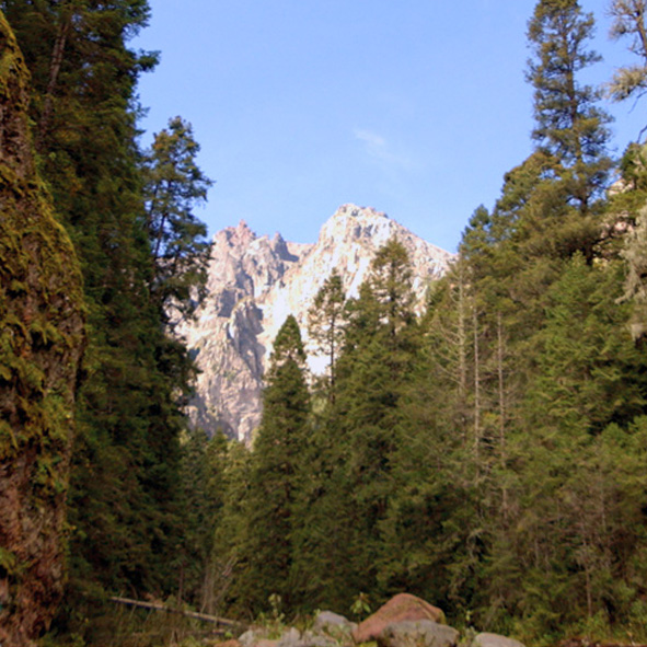 Parque Nacional La Malinche